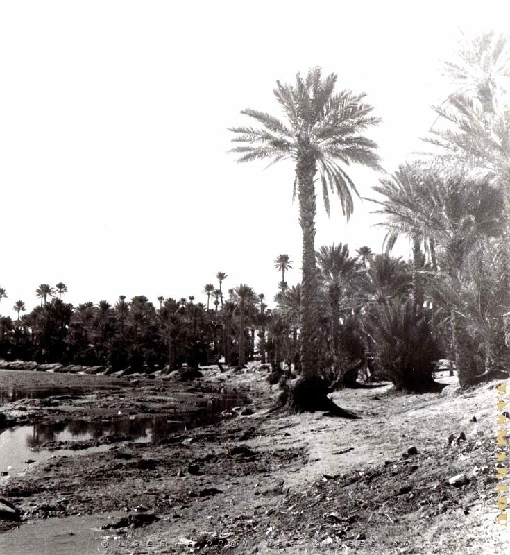 Colomb Bechar 057-collection Monneret.jpg